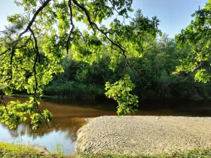 В связи с сухой и жаркой погодой на территории Кулебакского районного лесничества установлен 4 класс пожарной опасности